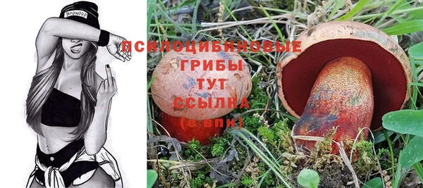 mdma Рославль