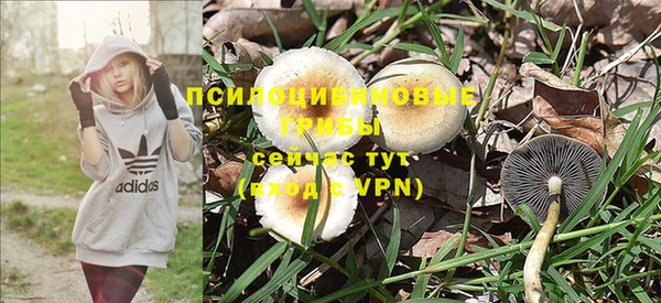 мдма Беломорск