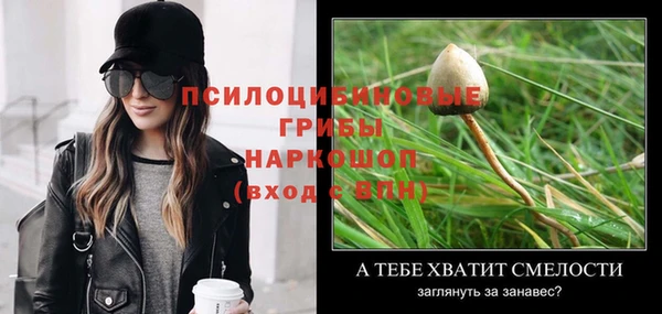 spice Белоозёрский