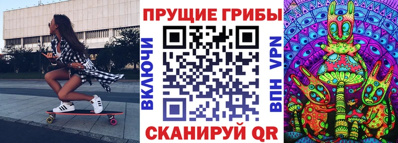 Псилоцибиновые грибы Psilocybe магазин Луховицы